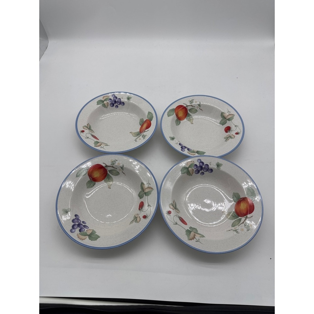 Savoir Vivre Luscious JJ017 salad soup bowls 8 1/16" fruit‎ design.  Set of 4